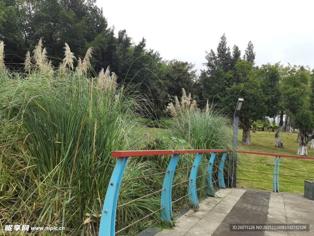 蓝栏杆旁的茂盛绿植景观