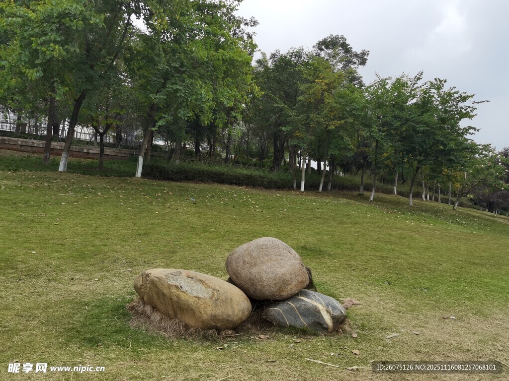 草地上的几块大石头