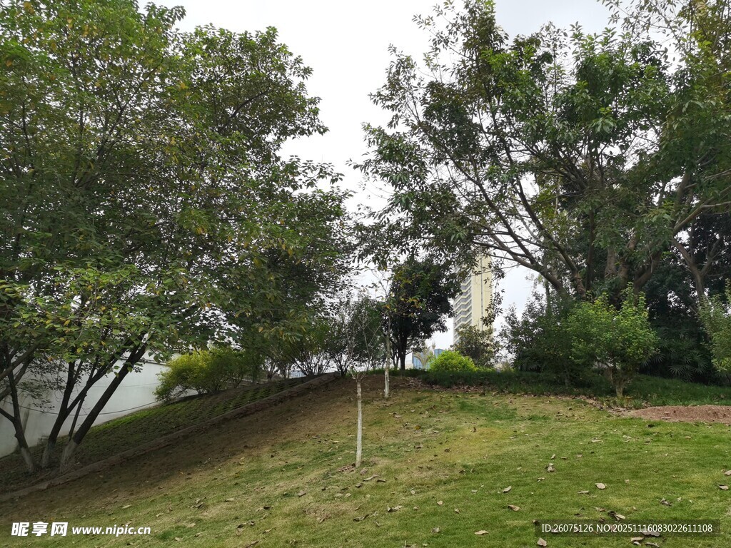 户外绿意盎然的休闲场景