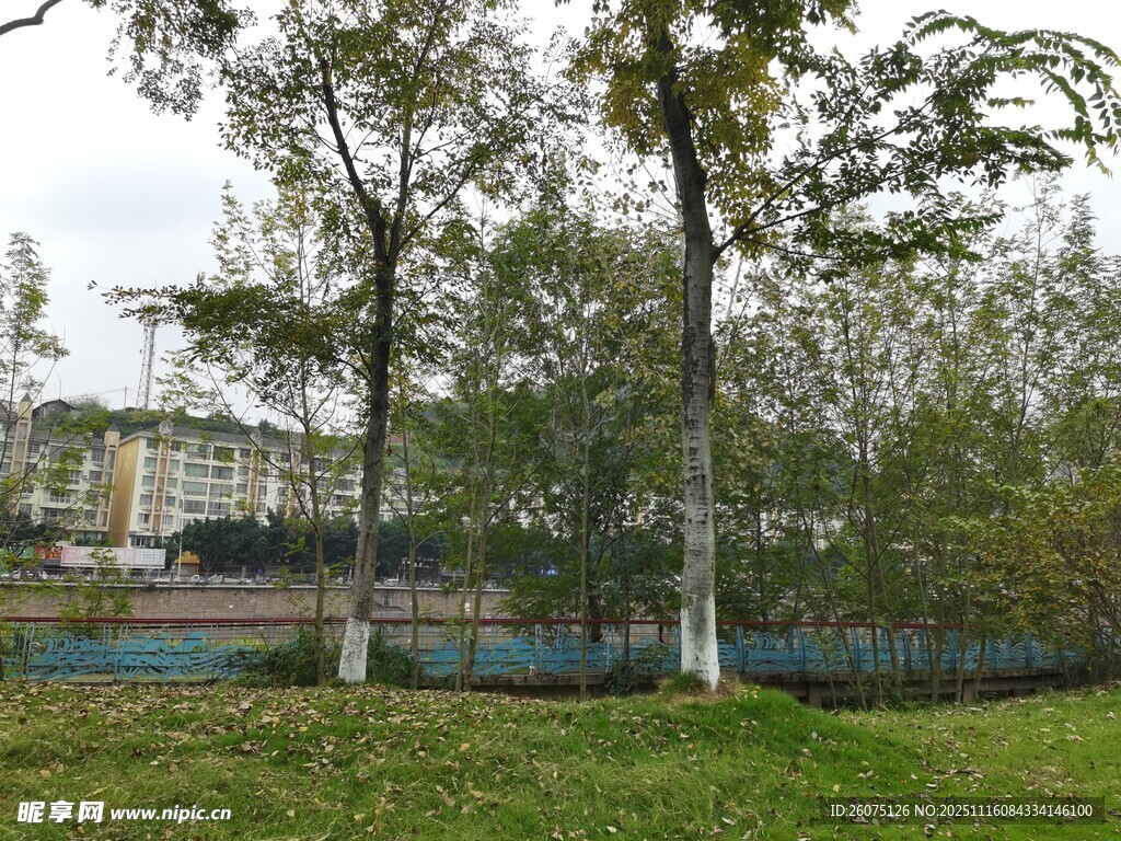 户外绿树草地风景图