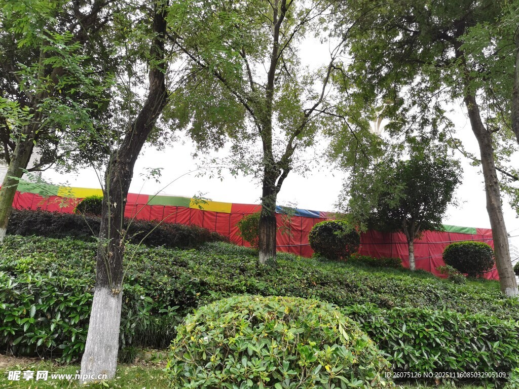 绿树环绕的多彩建筑