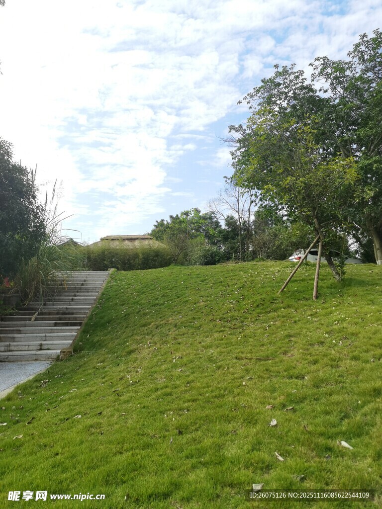 乡村草地小路与绿树风景