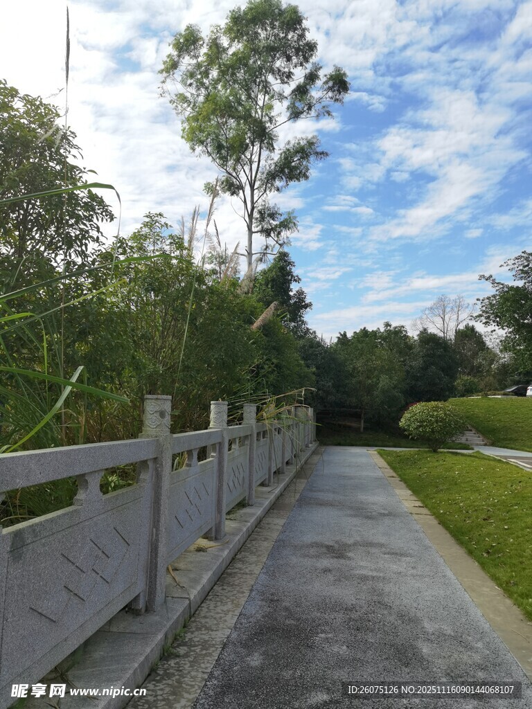 林间小道畅享自然宁静