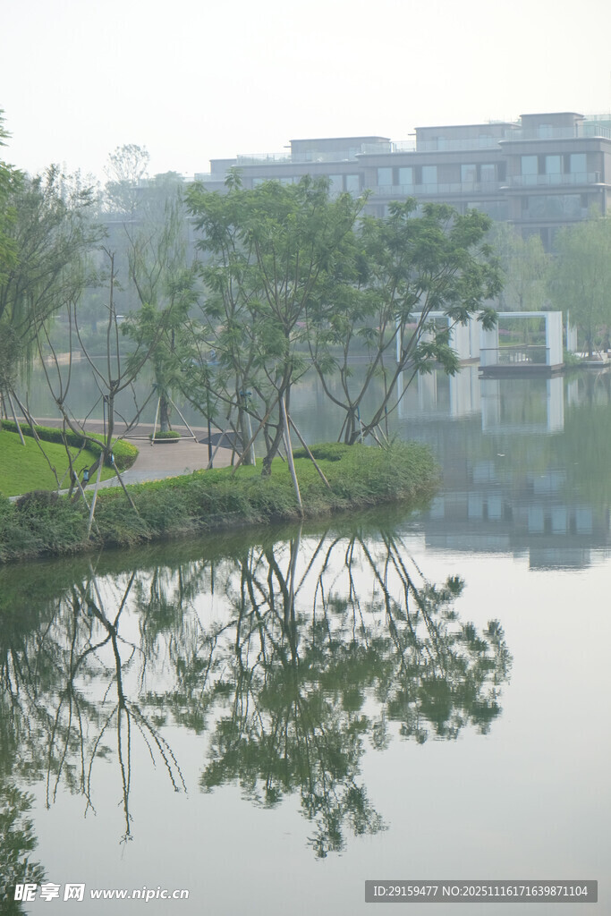 湖畔绿树倒影宁静景致