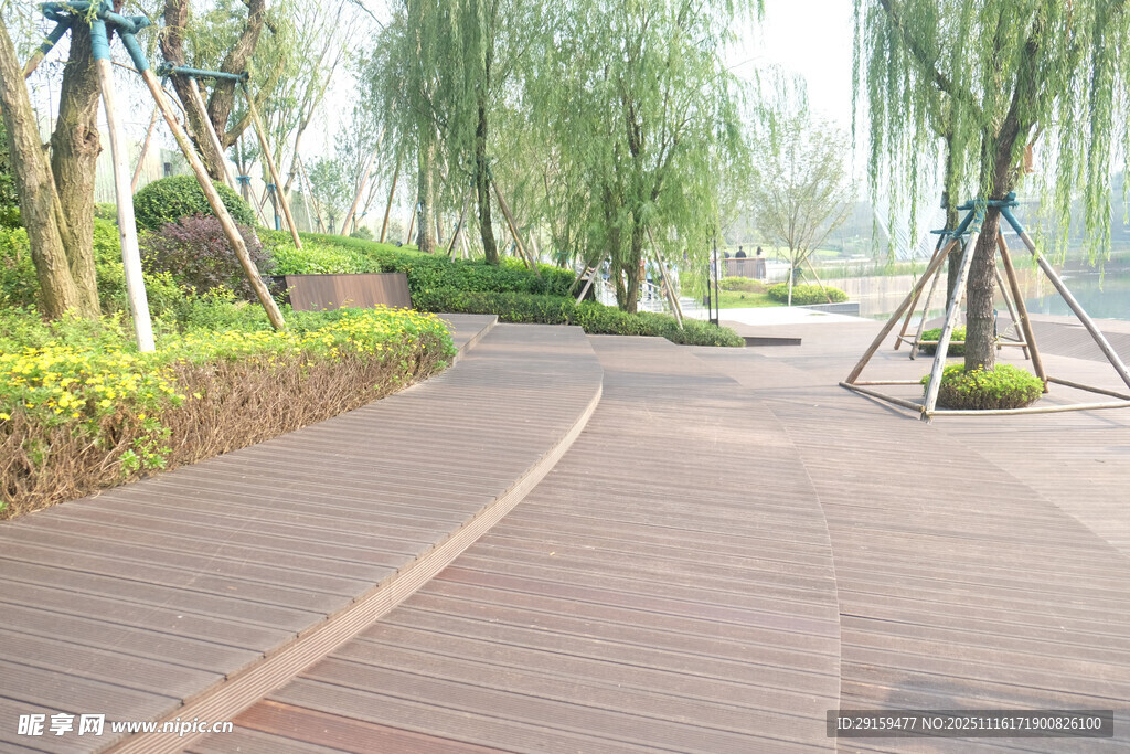 公园木质步道与垂柳景观