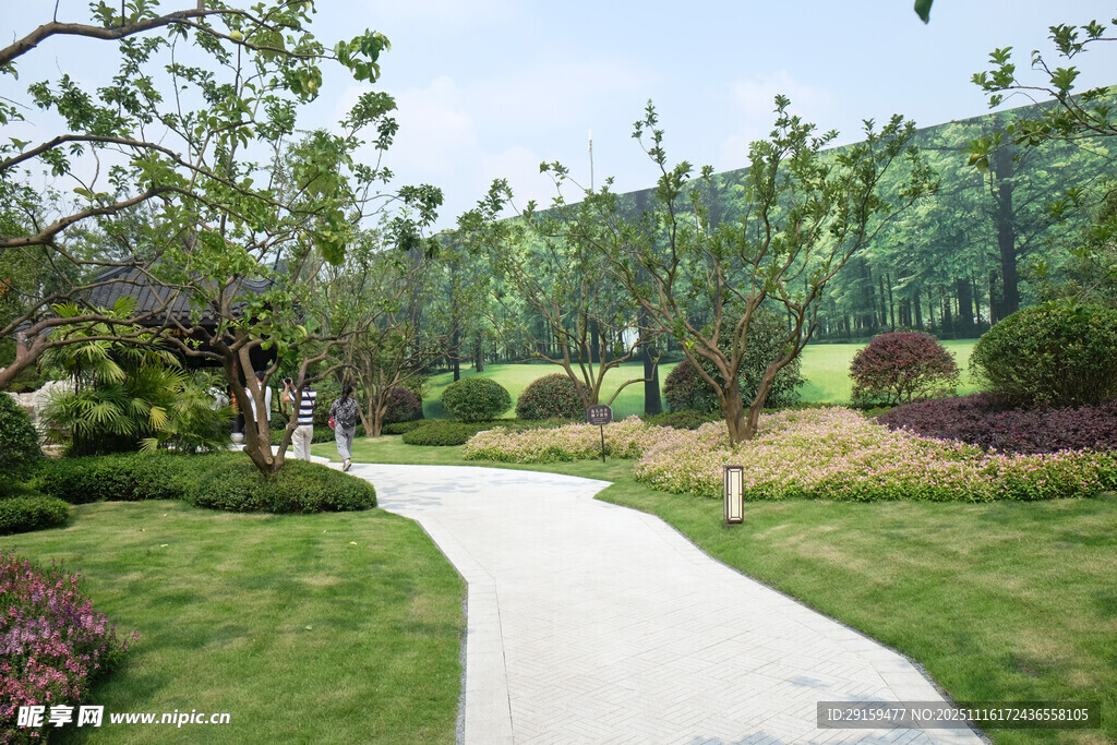 园林小径绿意盎然的景致