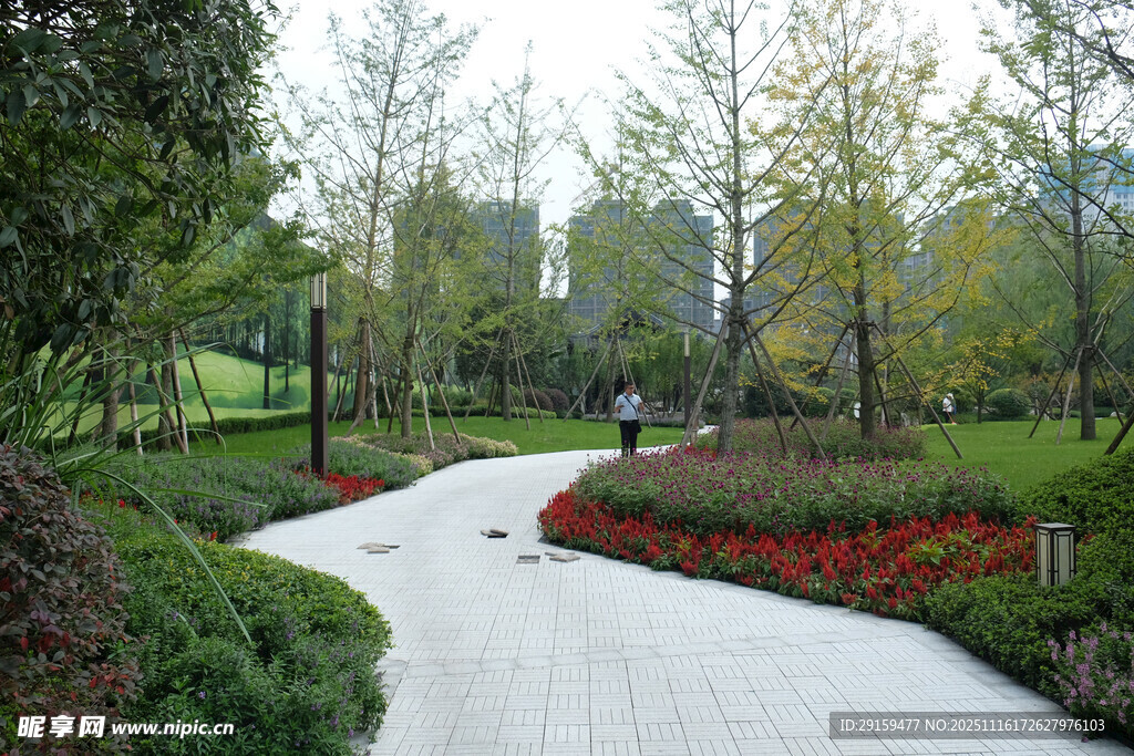 公园小径的自然美景