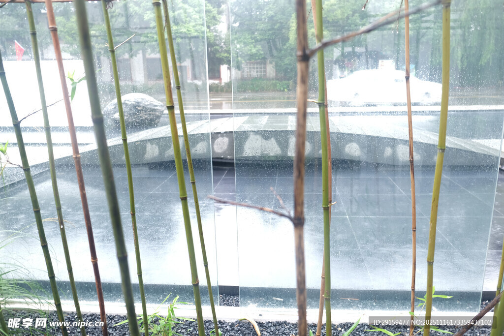 透过竹枝看户外景致