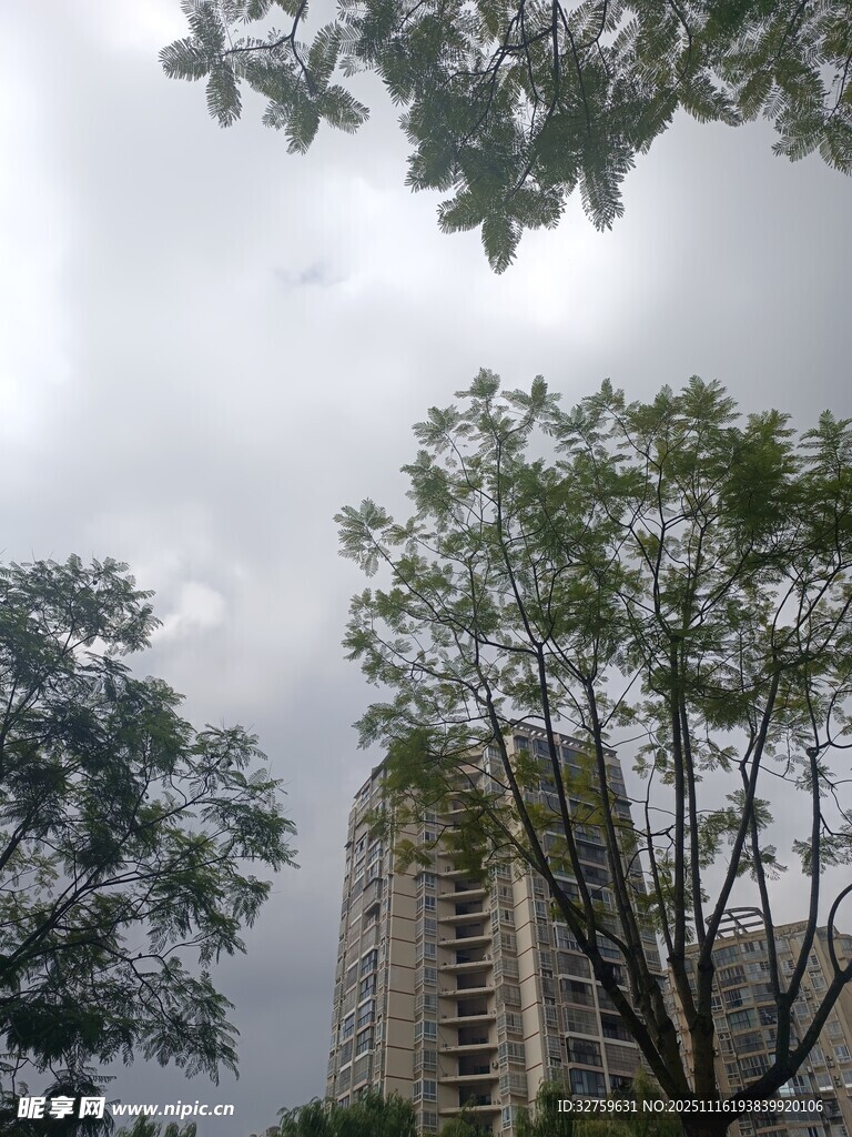 高楼旁绿树与阴沉天空