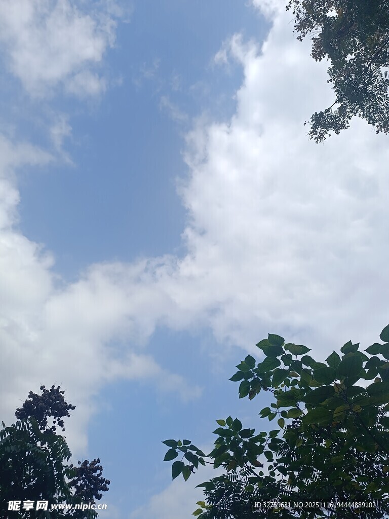 蓝天绿树间的白云景致