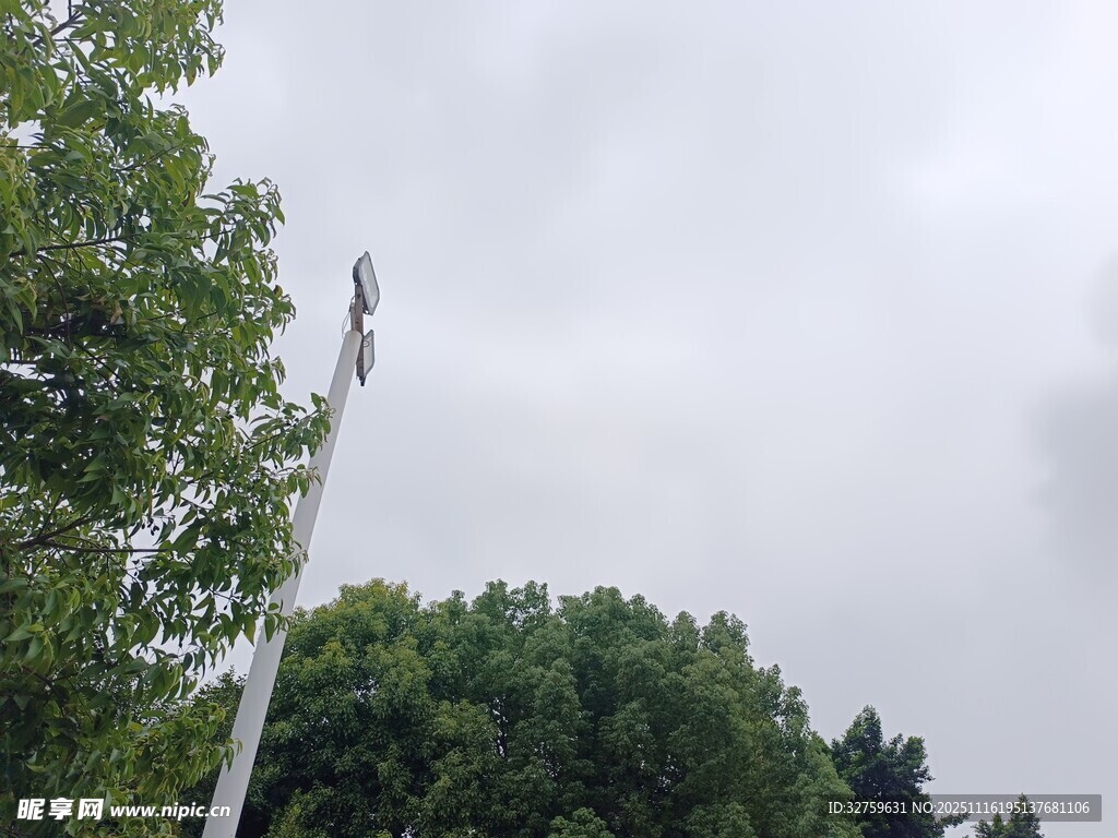 起重机立于绿树环绕间