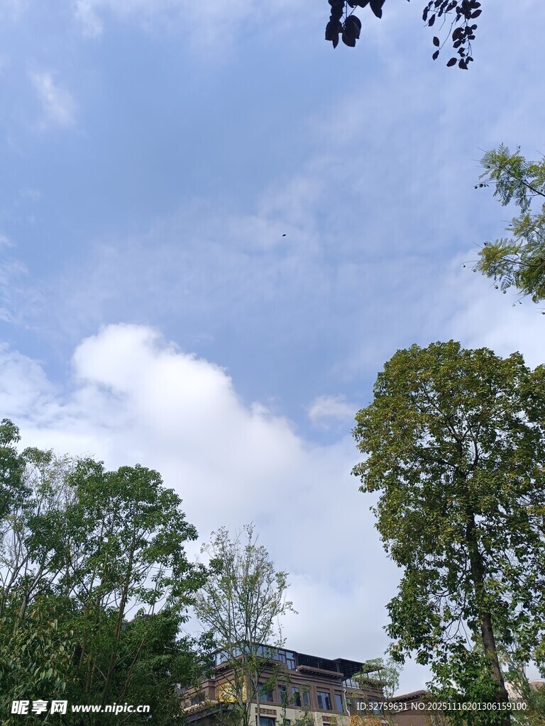 蓝天白云下的林间房屋