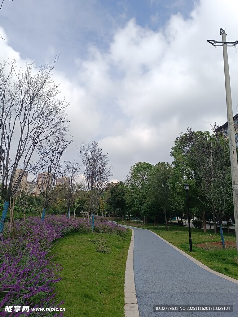 春日公园小径美景