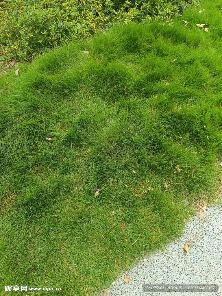 翠绿草地与碎石小径