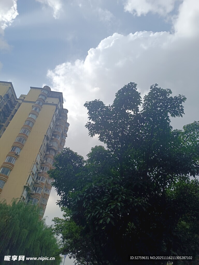 高楼旁绿树与蓝天白云