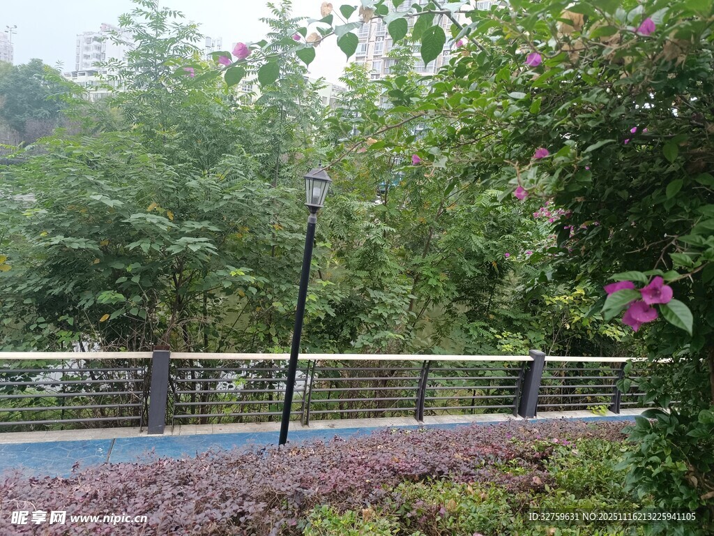 公园幽静小道与绿植花卉