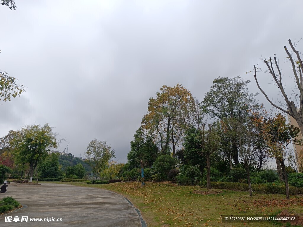 阴天公园景色