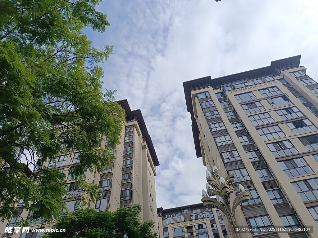 高层住宅与绿树相映成趣