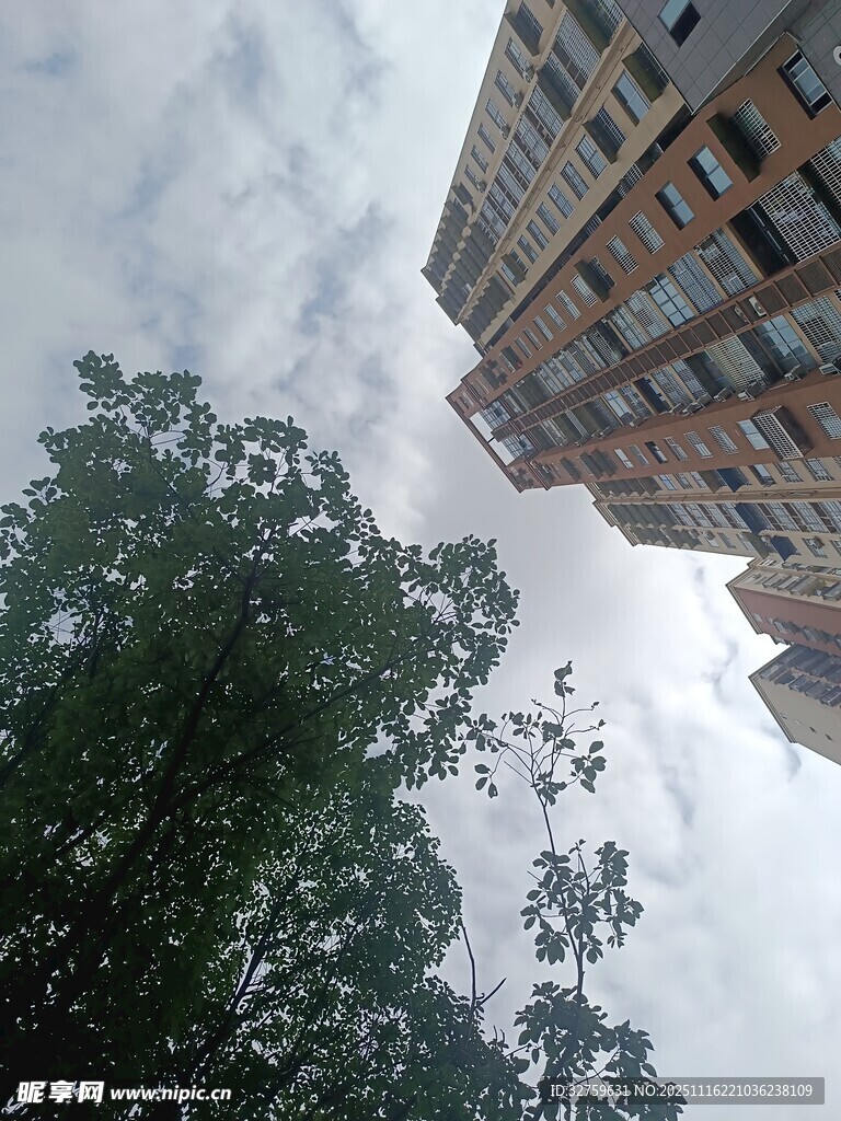 高楼旁绿树与多云天空