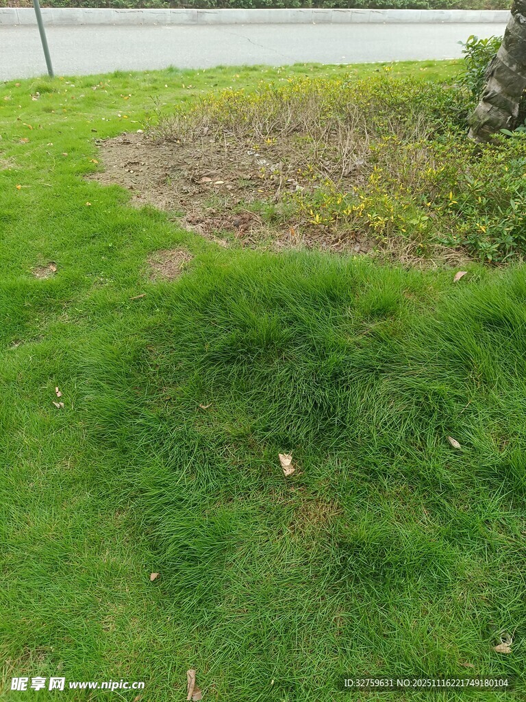 翠绿草坪与边角花坛景观