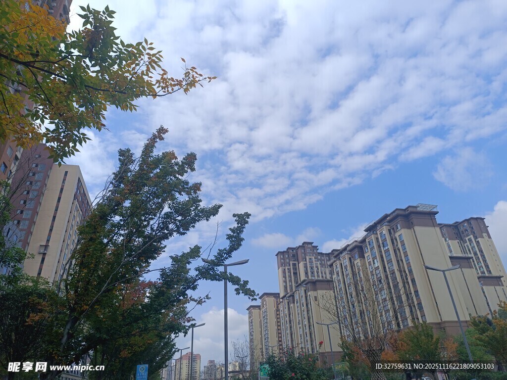 城市中林立的高楼与绿树