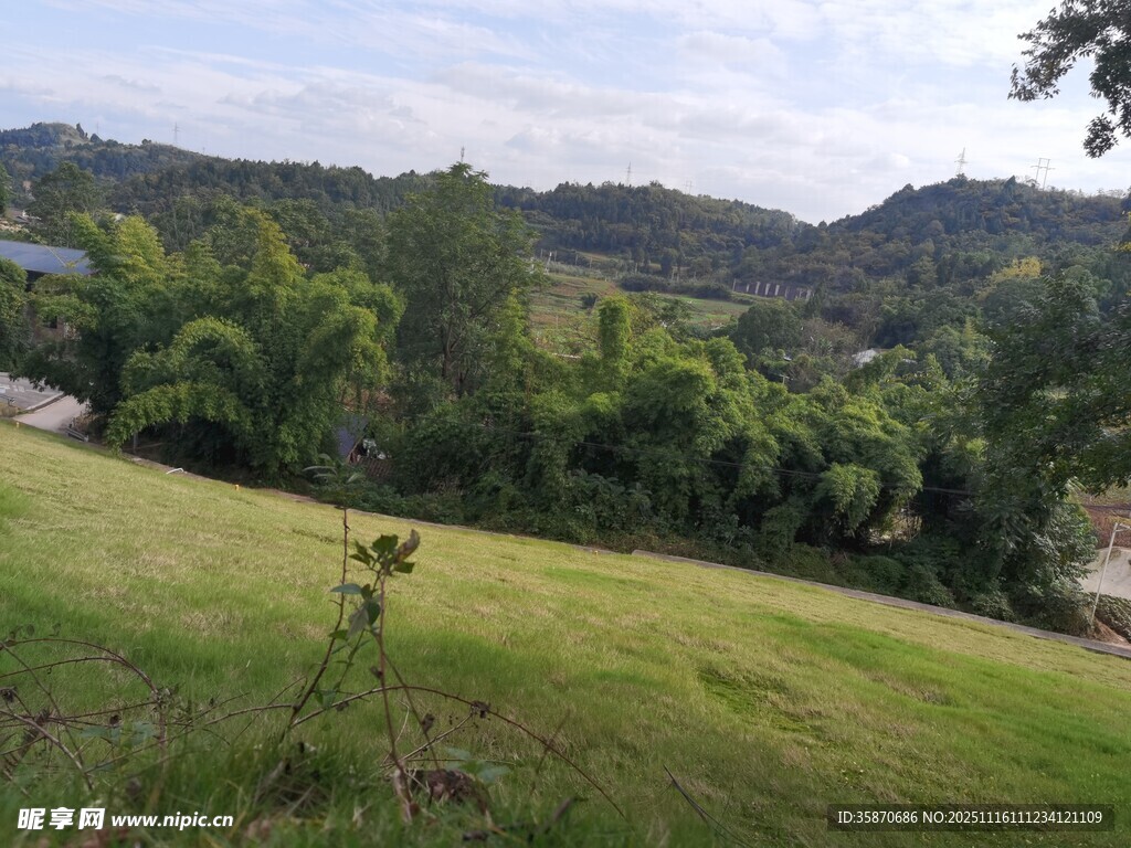 绿意盎然的山坡自然景致
