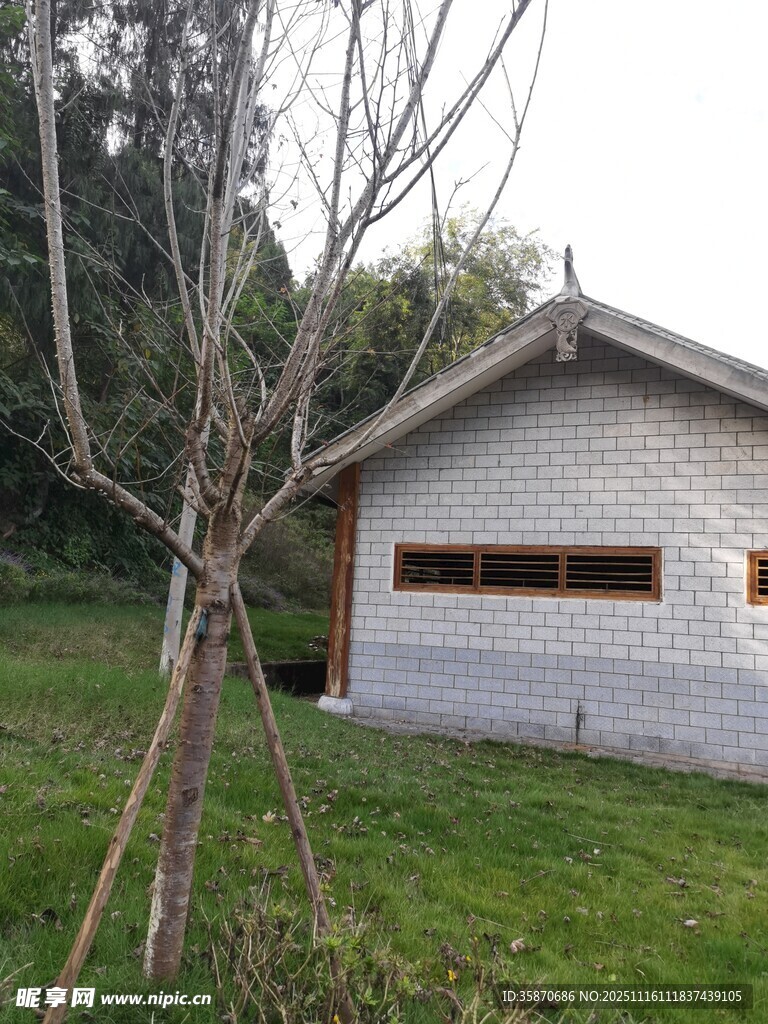 乡村小屋旁的绿植景观