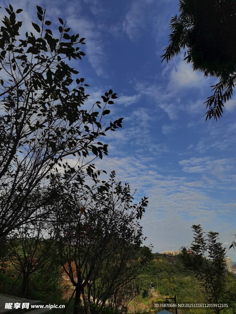 户外自然风光景色