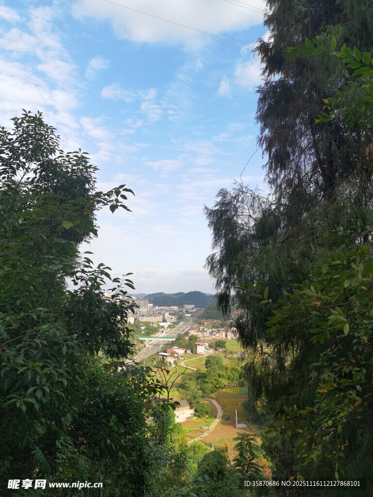 山林间的开阔景致