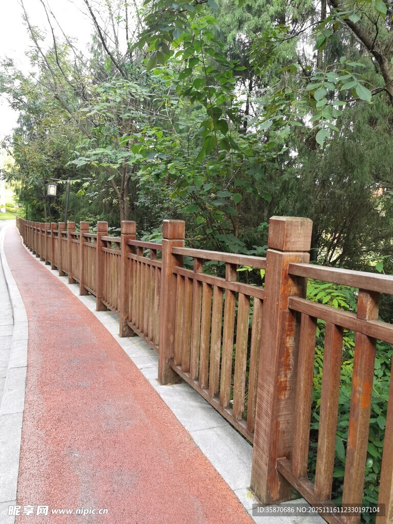 林间木质步道自然景致