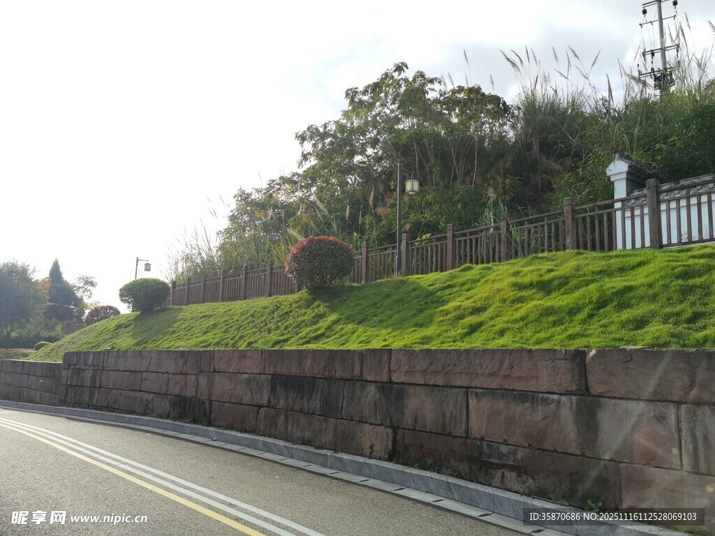 公路旁绿意盎然的护坡