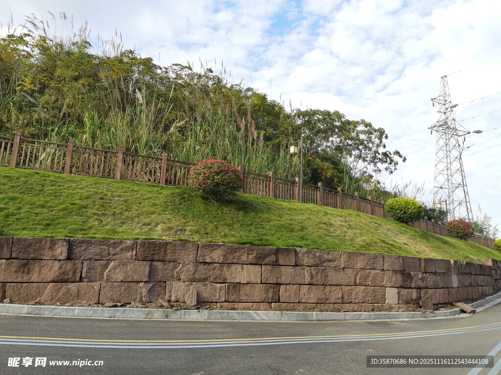 路边斜坡绿植与电力设施