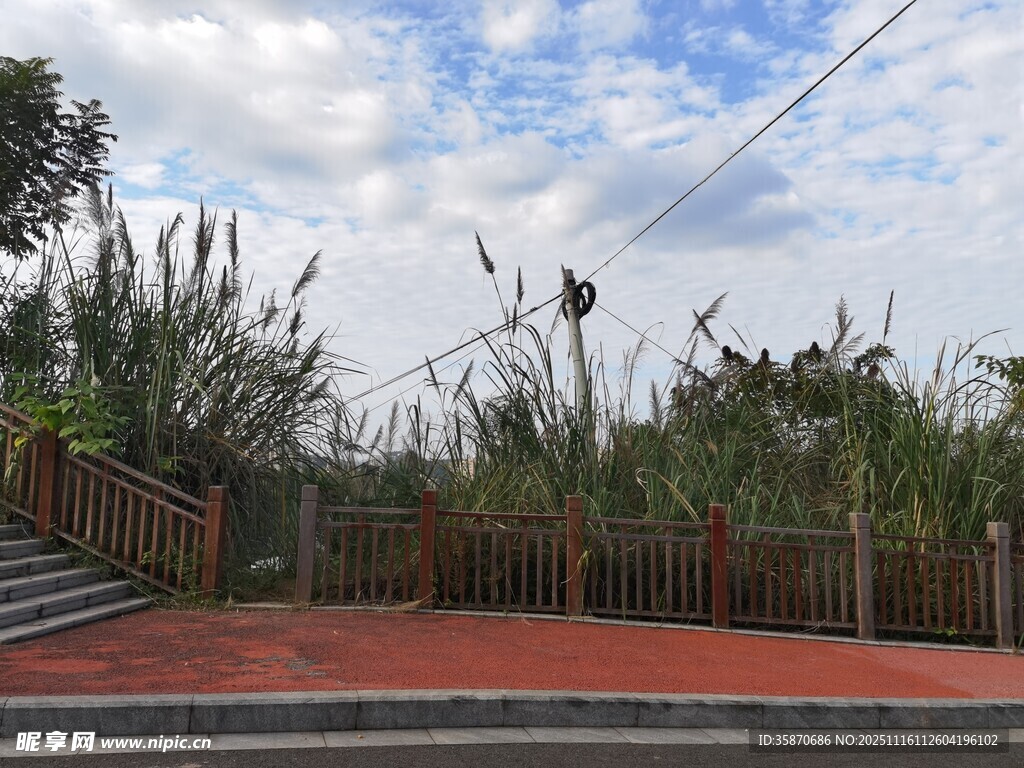 户外绿植环绕的红地场景