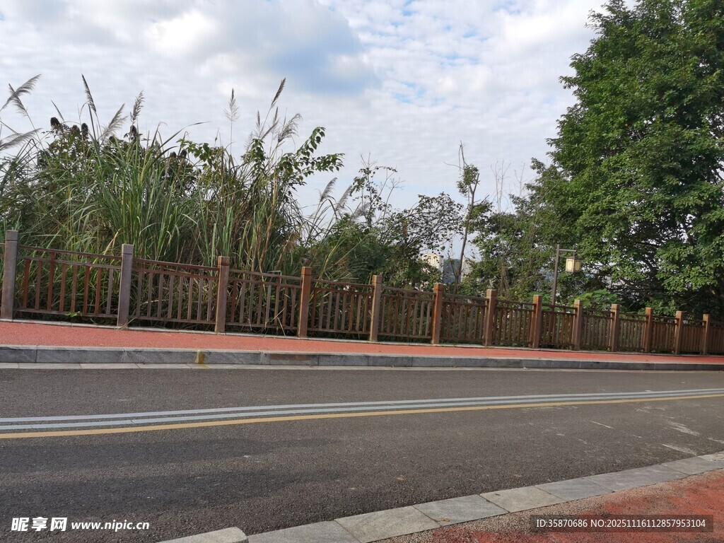 道路旁的绿植景观