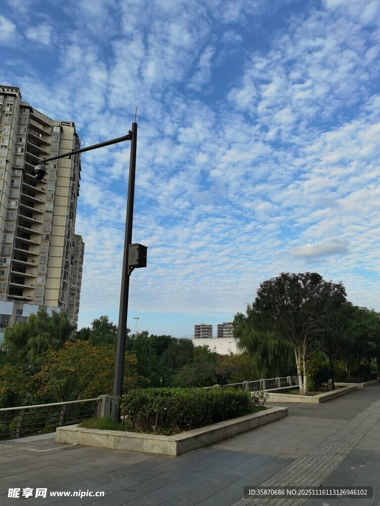 城市道路旁的高楼与蓝天