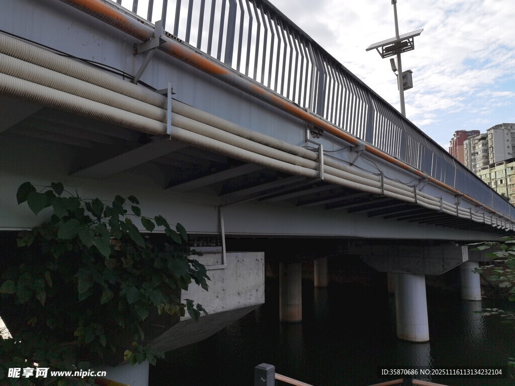 城市中的跨水桥梁景观