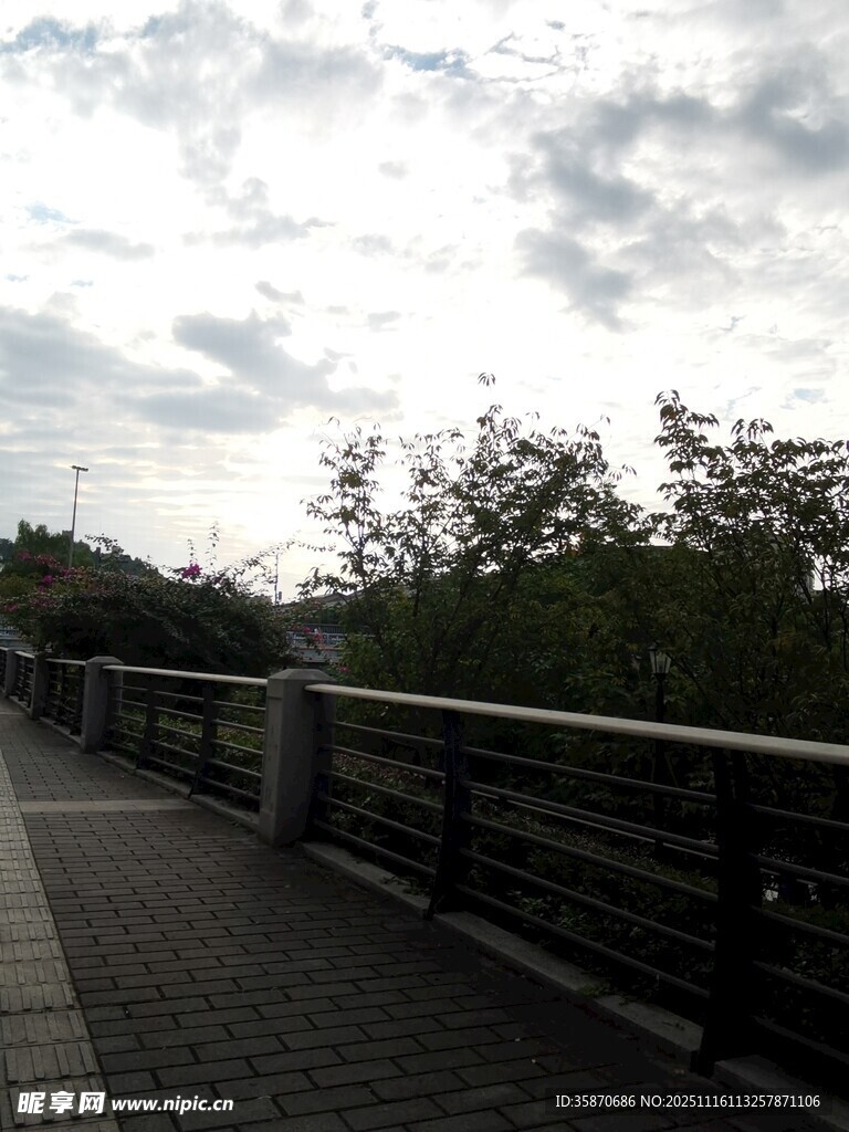 户外河畔步道风景