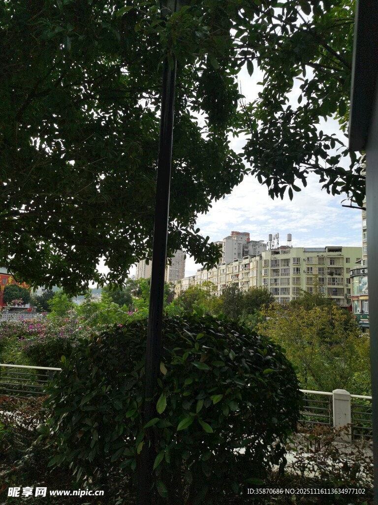 户外绿植与远景建筑景观