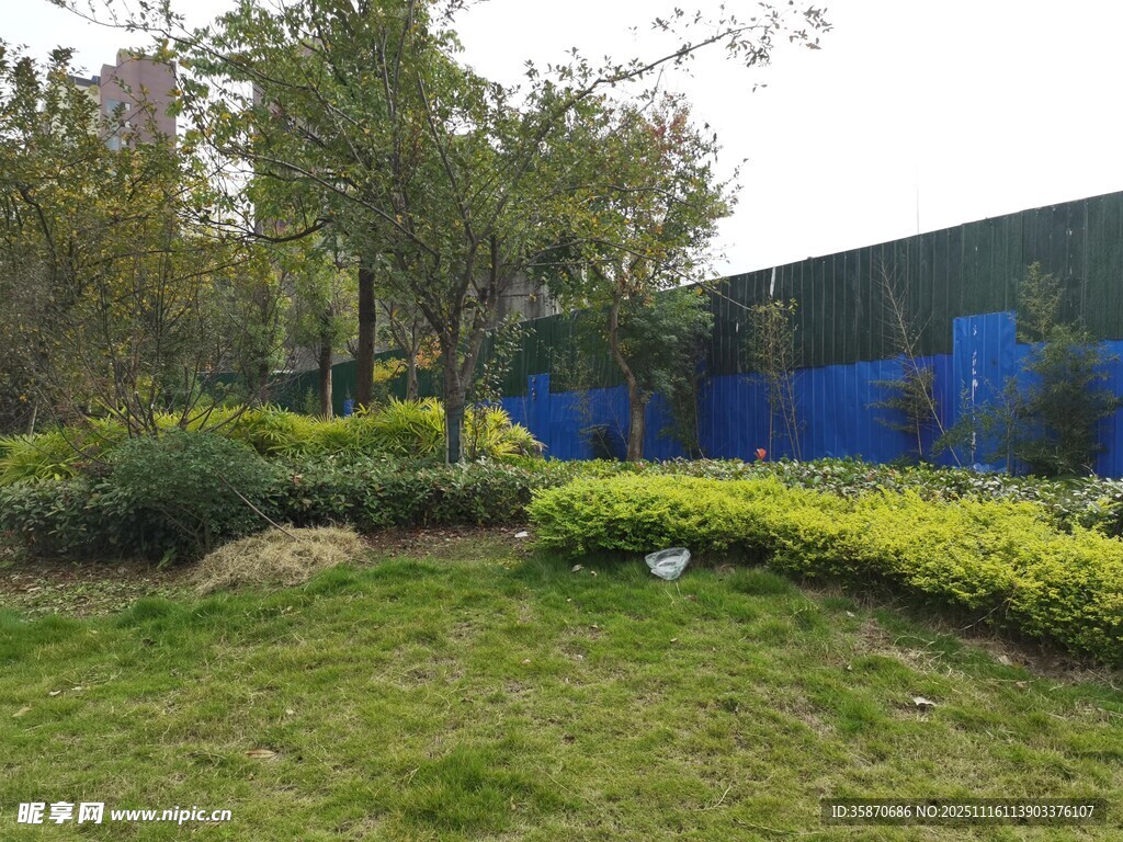 户外园林景观绿植场景