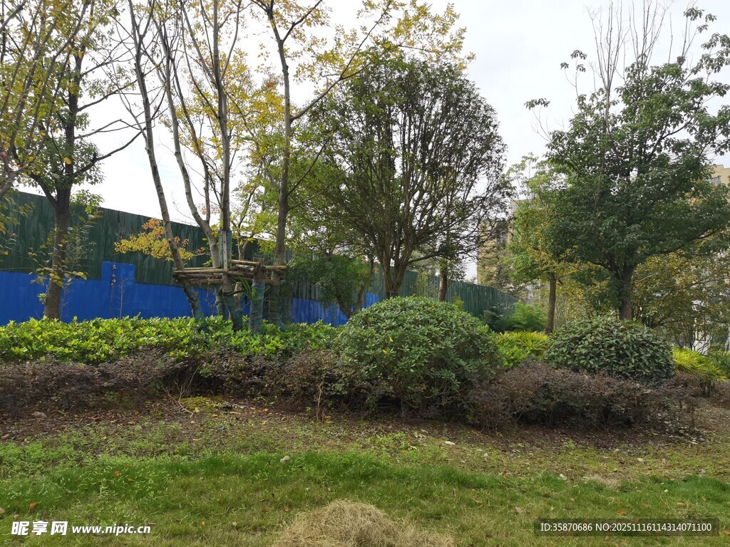 户外绿意盎然的园林景观