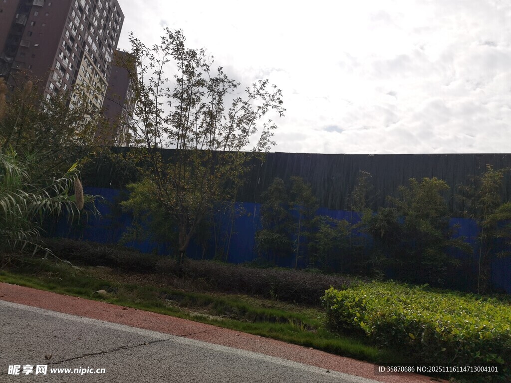 城市路边绿植与建筑景观