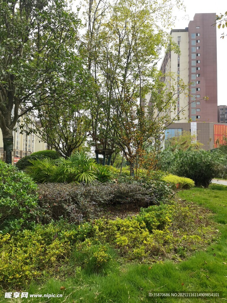 城市中的绿植景观角落