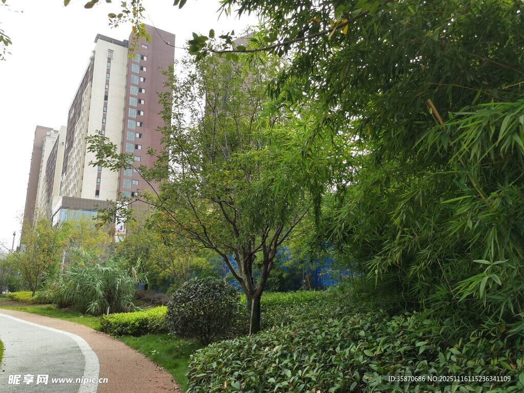 城市中静谧的绿植环绕小径
