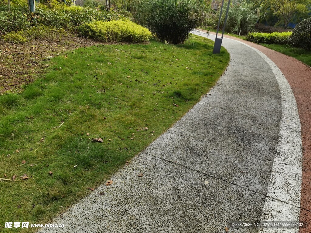 公园中的蜿蜒小径