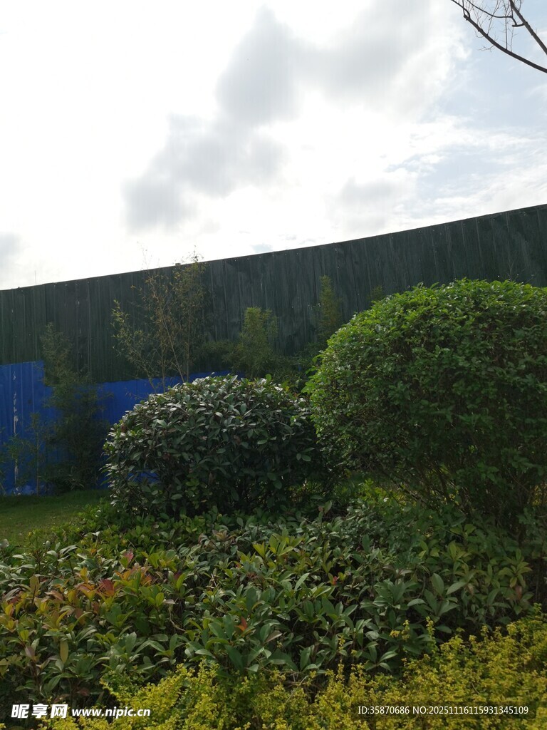 花园绿植景观