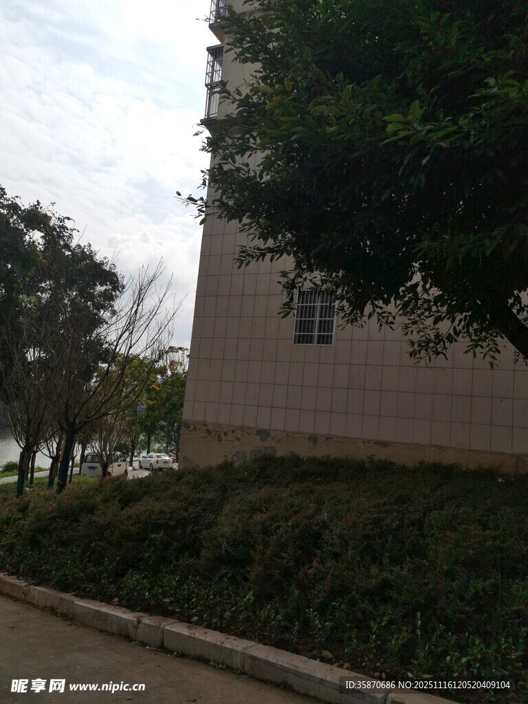 校园旁的绿植与建筑