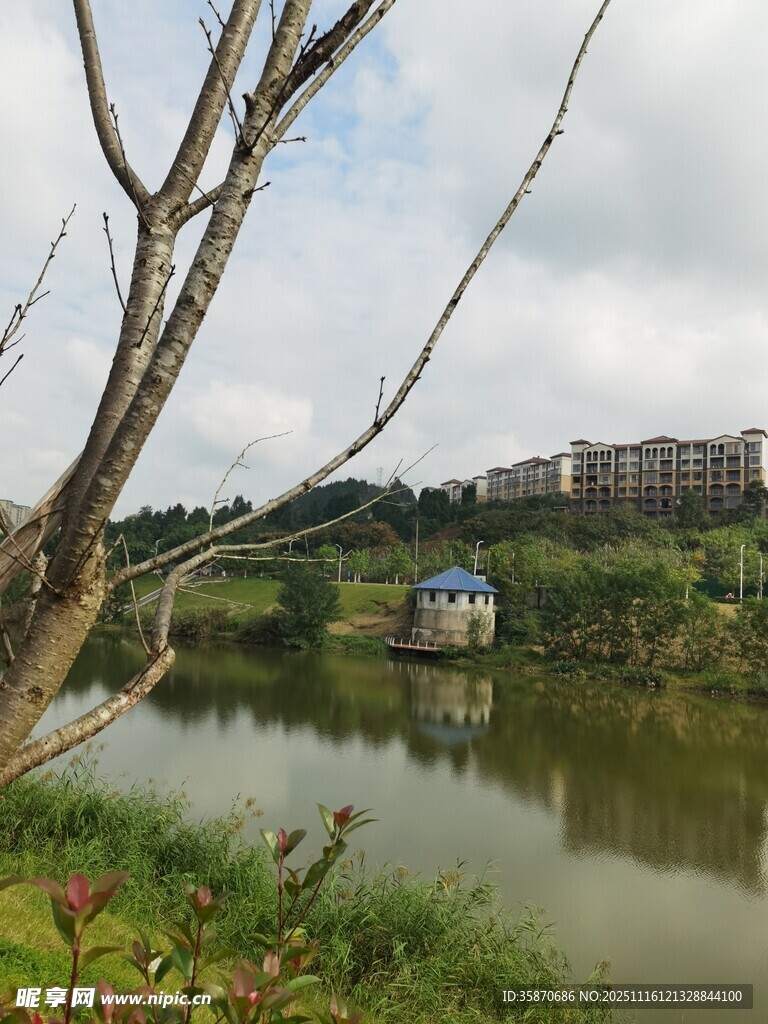 河畔风光小船静泊于湖水