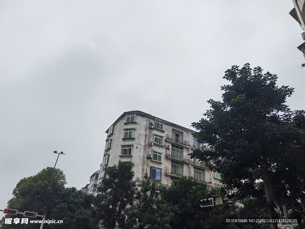 城市中被树木环绕的楼房