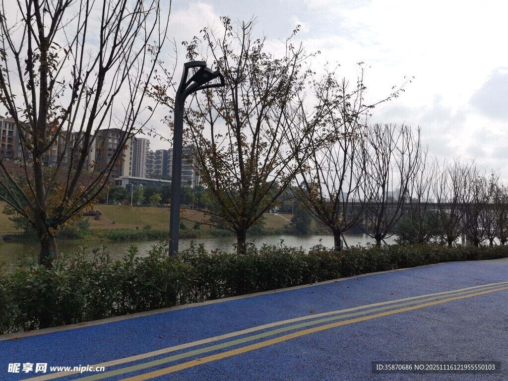 城市蓝色步道旁树木景观