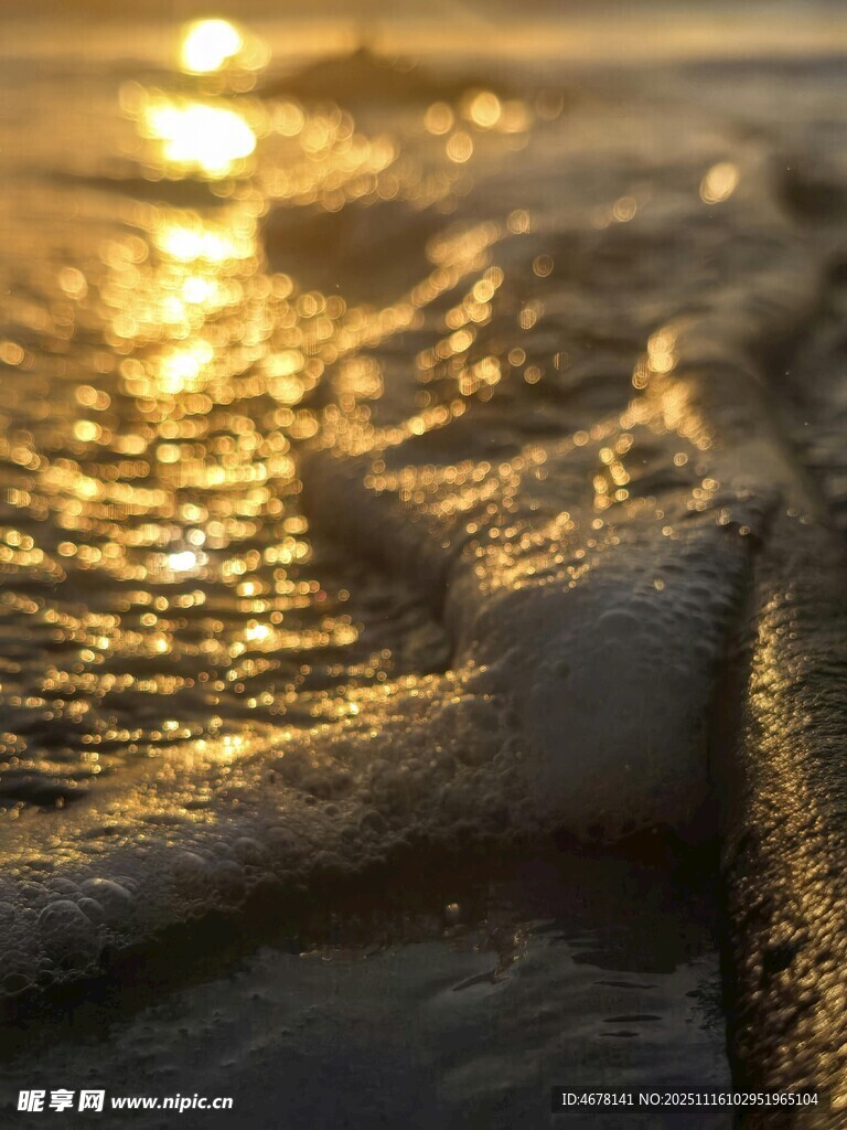 金色海浪上的落日余晖